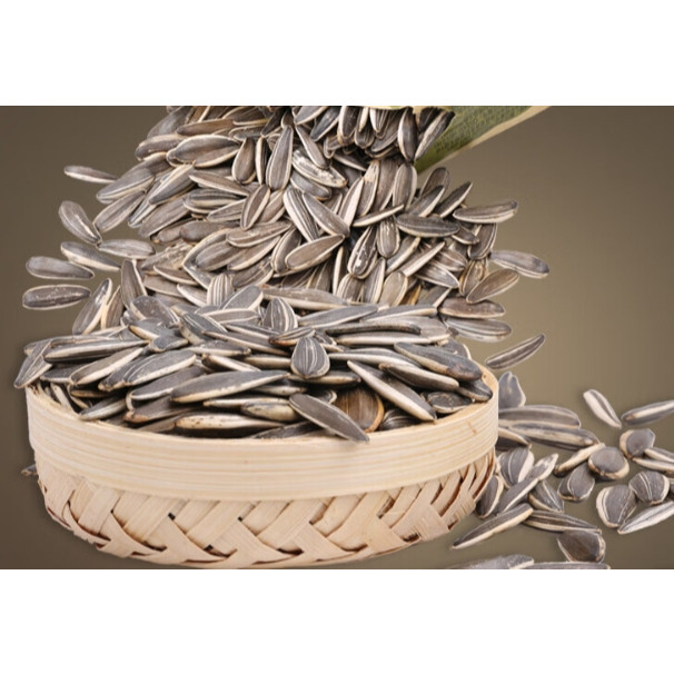 

100 qia qia xiang kuaci rasa asli 100gram