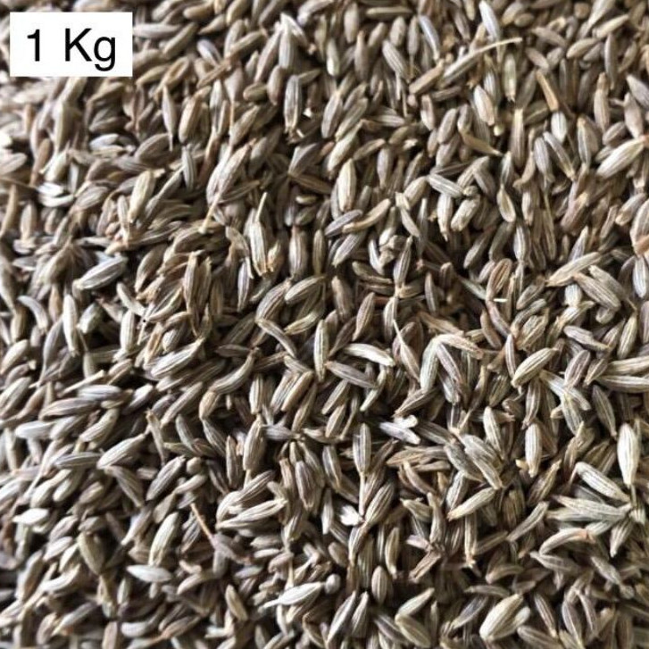 

Jintan Putih / Jintan India / Cumin Seed 1 Kg
