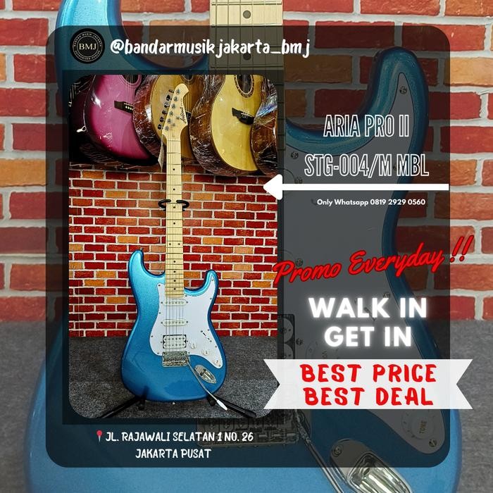 TERLARIS ARIA PRO II STG-004/M BMJ SALE