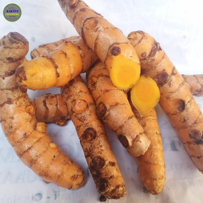 

Terlaris Kunyit/Kunir/Koneng Segar 500 Gram