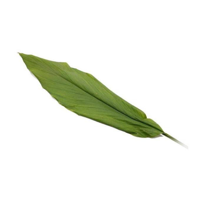 

Terlaris Daun Kunyit Segar Bumbu Dapur