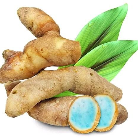 

Terlaris Rempah-Rempah Kunyit Hitam/Temu Ireng Segar Netto 500 Gram