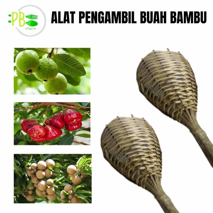Alat Pemetik Buah Alat Bantu Petik Buah Bahan Bambu Brongsong Bambu