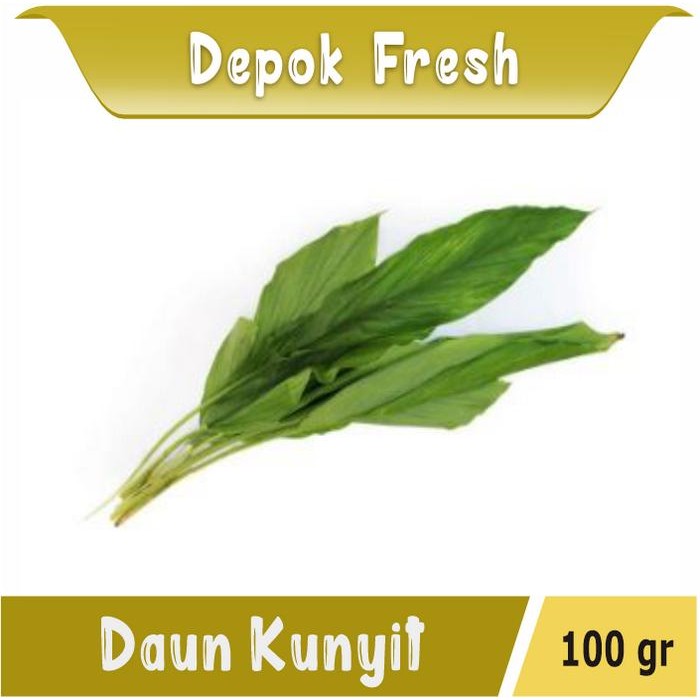 

Terlaris Daun Kunyit Segar 100 Gr