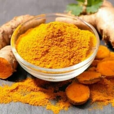 

Terlaris Bibit Pohon Kunyit Berkualitas