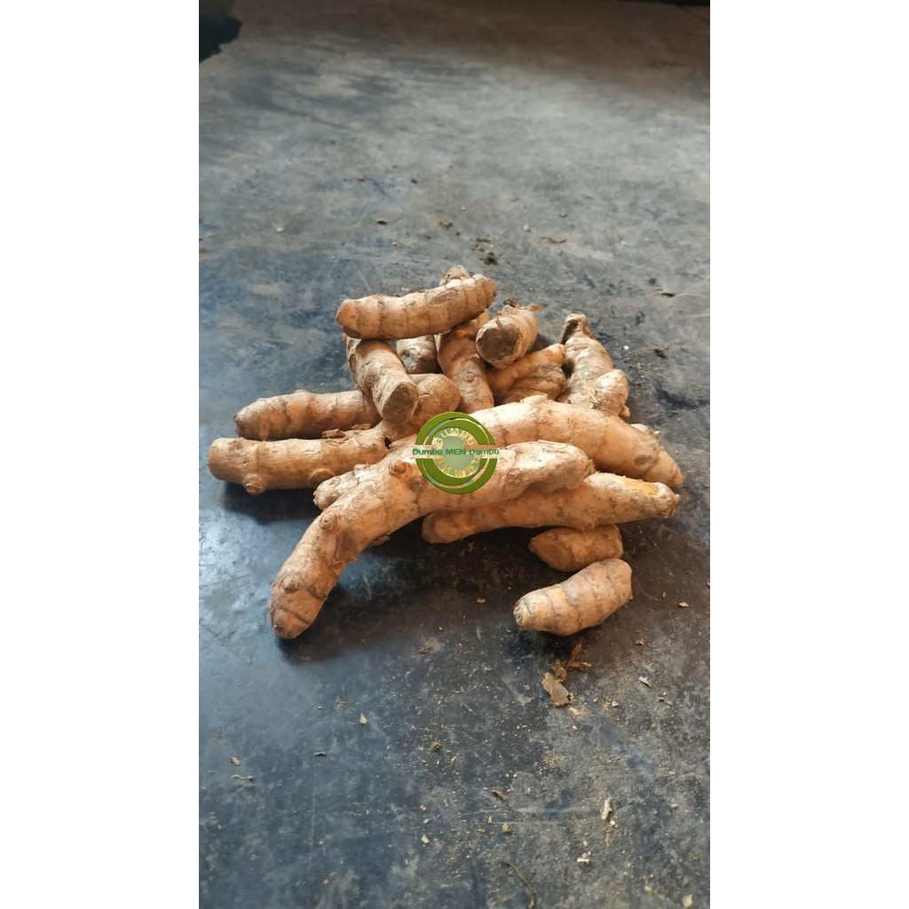 

Terlaris Kunyit Super Fresh Segar 1Kg