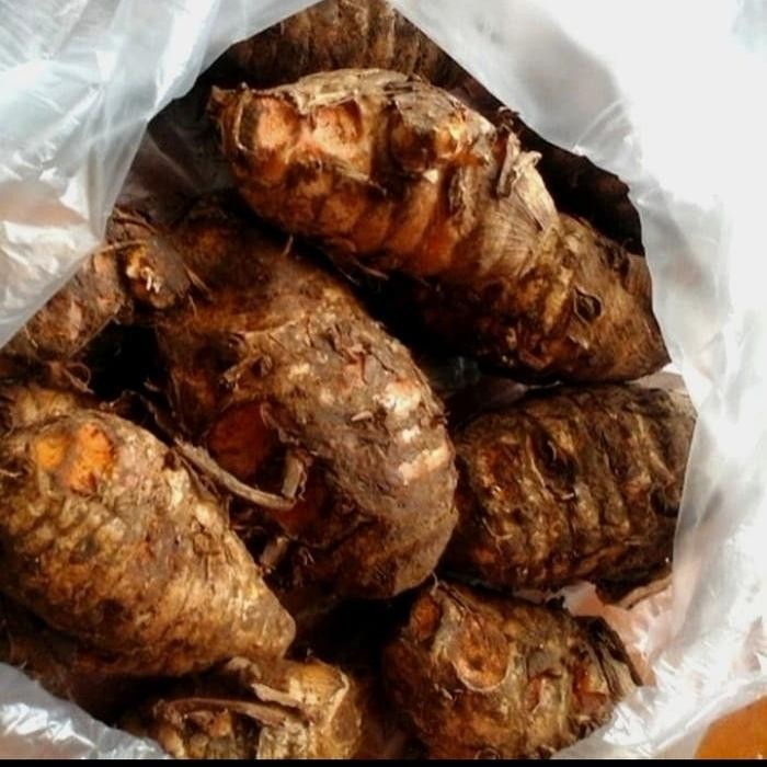 

Terlaris Biang Kunyit (Kunir)/Pala Kunyit Segar 1Kg