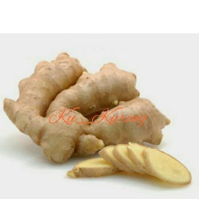 

Terlaris Temu Putih Segar Kunyit Kunir 500G Curcuma Zedoaira