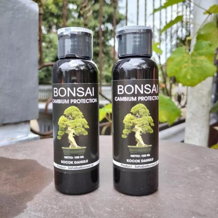 JB-Salep kambium premium, obat Salep kambium bonsai Premium