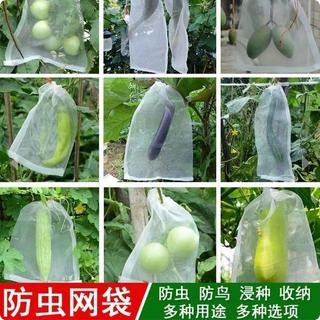 Fruit Cover / Pembungkus buah import