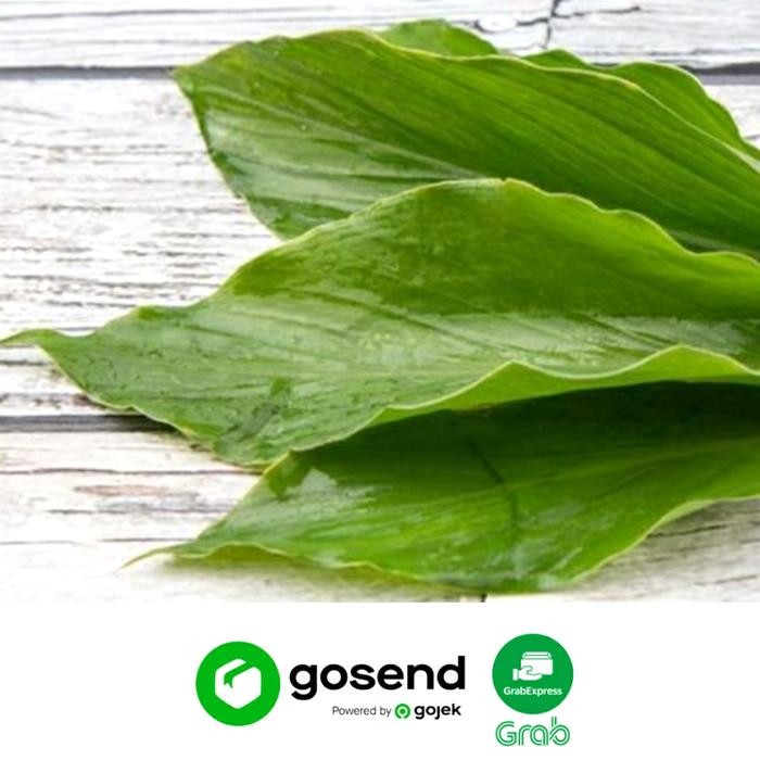 

Terlaris Daun Kunyit Segar (1 Ikat)