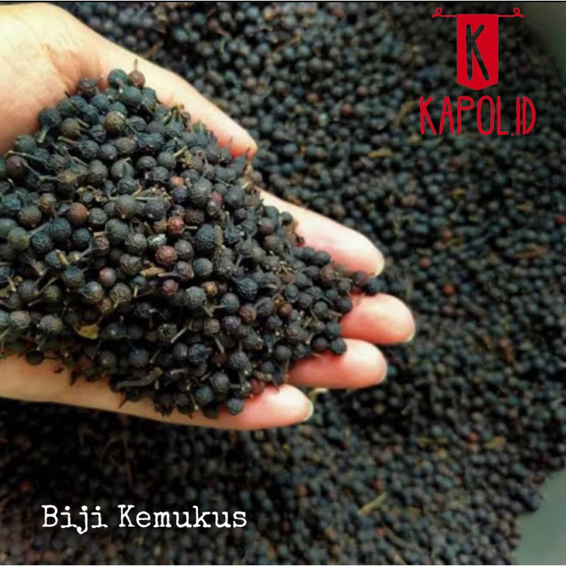 

Konter Makanan Biji Kemukus Kering