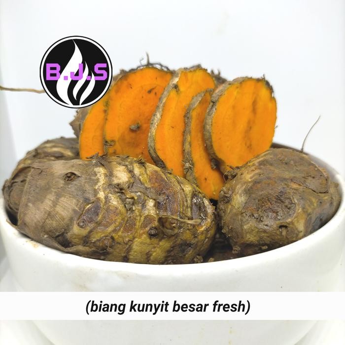 

biang kunyit/turmeric prickly 1kg New