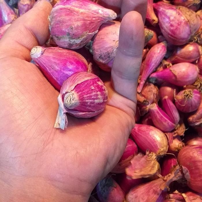 

Bawang merah brebes super cros/1kg New