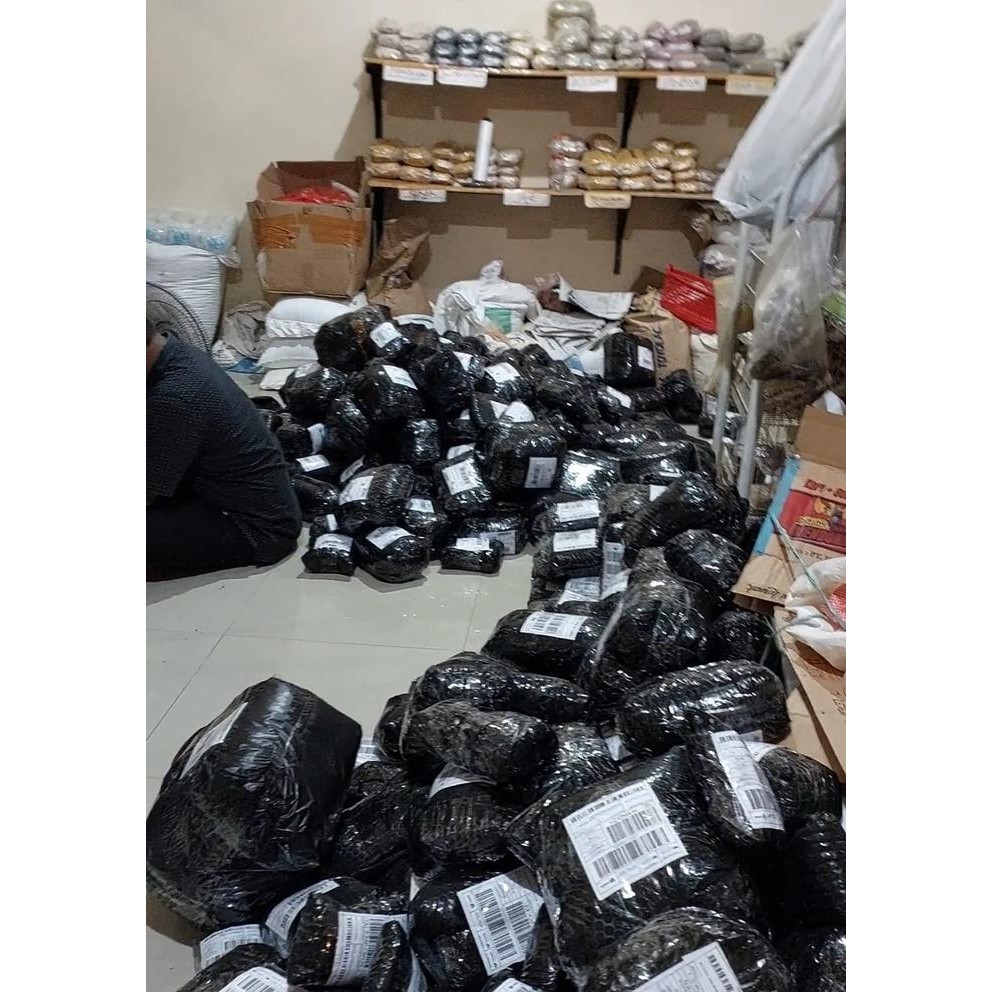 

TERMURAHH!! Bubuk Sambiloto 500gr Original - Bubuk Sambiroto Murni