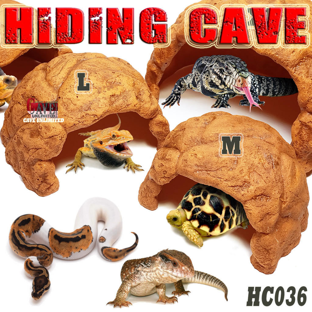 HC036L HIDINGCAVE PLACE HIDDING CAVE GOA TEMPAT SEMBUNYI RUMAH KURAKURA DARAT SULCATA TORTOISE