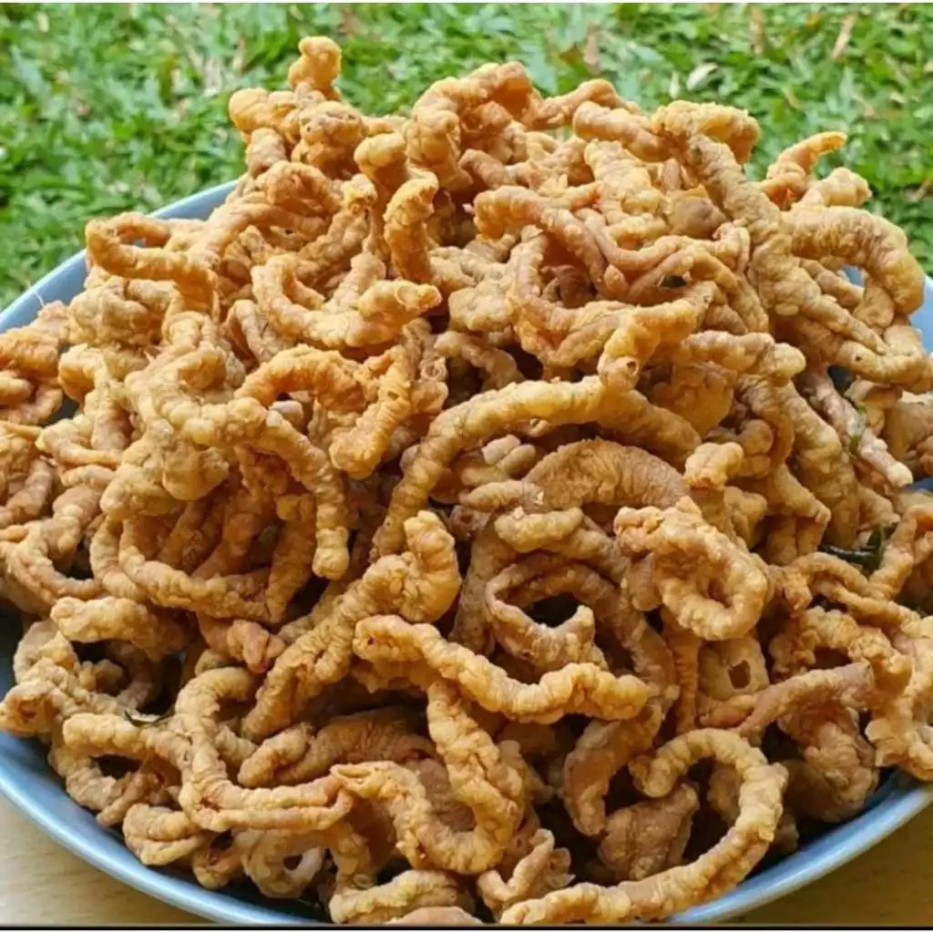 

Andrianbijaksana Keripik Usus Ayam Super Gurih Renyah Makanan Ringan Snack Usus Crispy Daun Jeruk