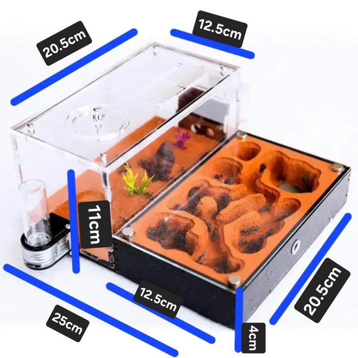 Formicarium Ecological Datar Premium, Formicarium akrilik, Formicarium kaca, ants nest, ant, gypsum