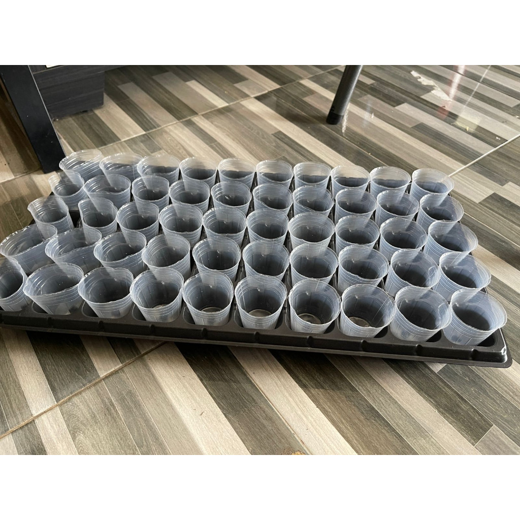 Pinan Shop Pot Anggrek Plus Soft Pot Premium