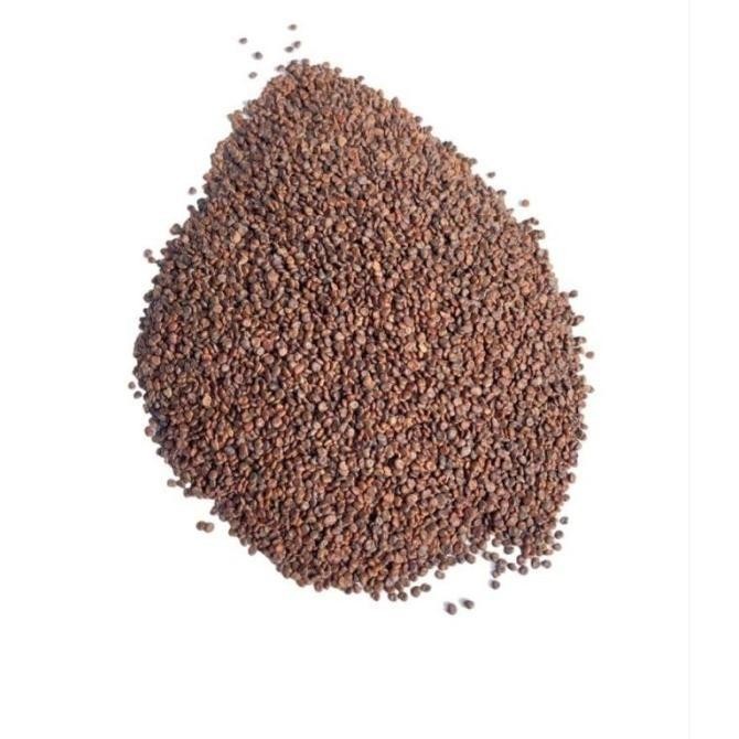 

[1000gram] Sha Yuan Zi / Astragalus Seed - Semen Astragali