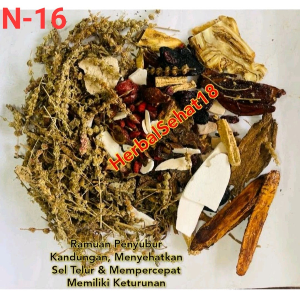 

Penyubur Kandungan, Menyehatkan Sel Telur & Mempercepat Memiliki Keturunan - Resep Keturunan PREMIUM