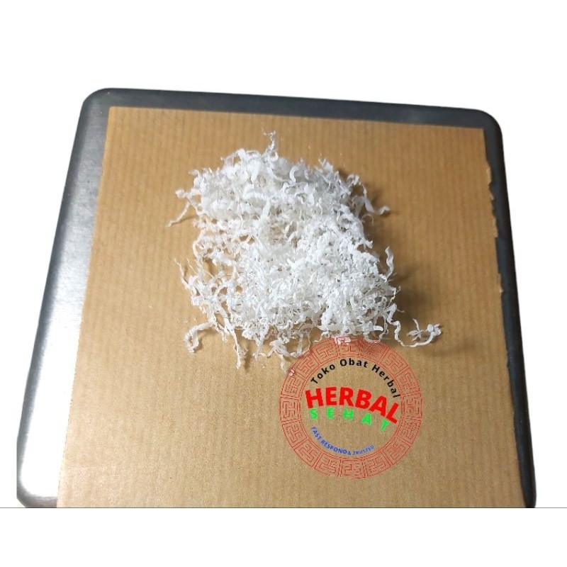 

Antelope Horn Tanduk - Ling Yang Jiao / Lin Yang Linyang Asli herbal PREMIUM