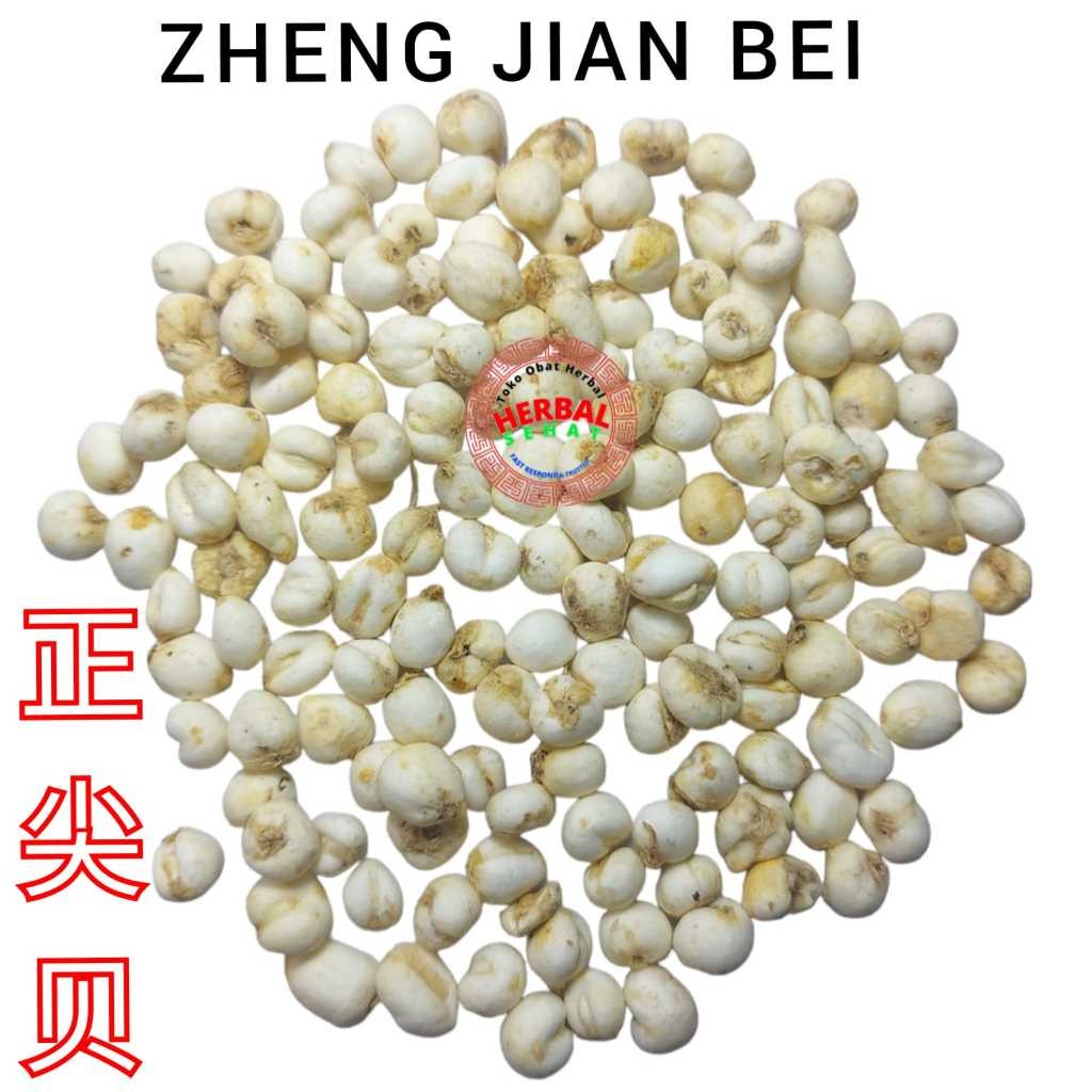 

100gram - Grade A Chuan Bei Mu - Pi Mu - Bulbus Fritillariae Cirrhosae - Batuk PREMIUM