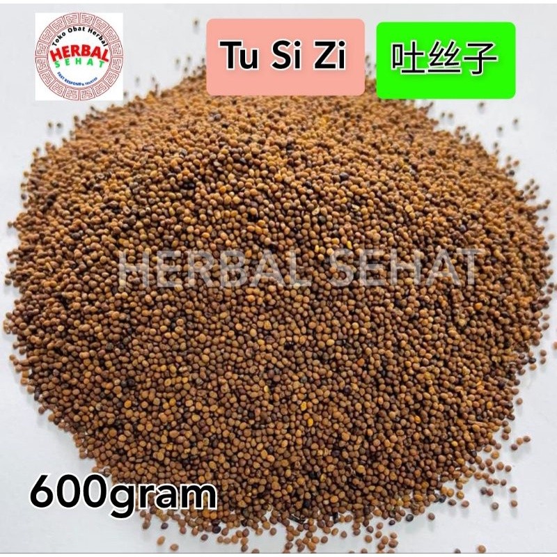 

600 gram Tu Si Zi - - Thu Si Ci - Semen Cuscutae Chinensis PREMIUM