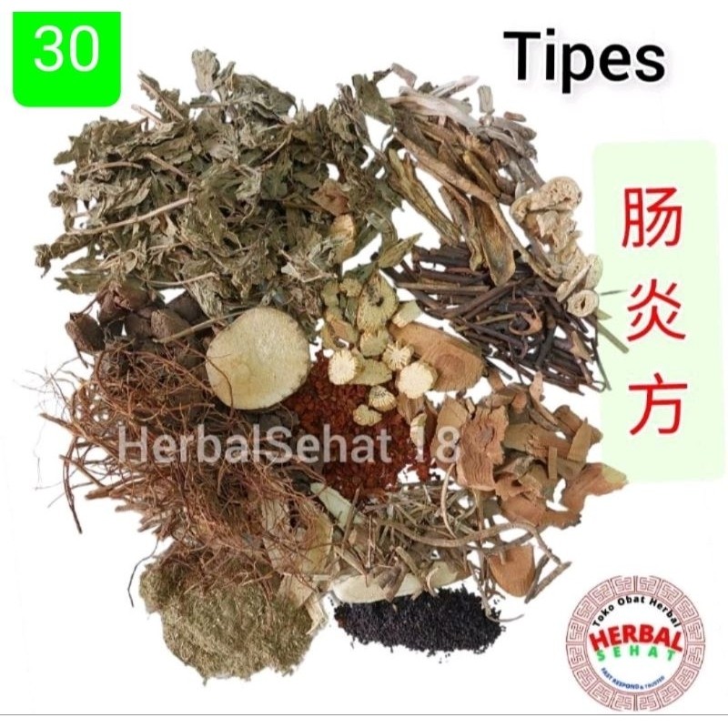 

Herbal Tipes - Tipus - Obat Panas Dalam - Demam No.30 PREMIUM