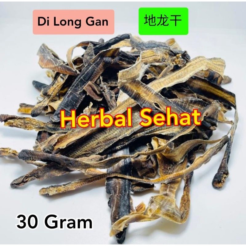 

Cacing Kering ASLI 30 gram (Perut Bersih) Dilong - Di Long PREMIUM