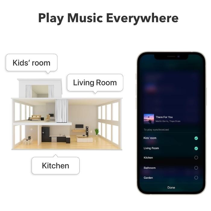 Wiim Pro Plus / Pro + Hi-Res Music Streamer With Premium Akm Dac