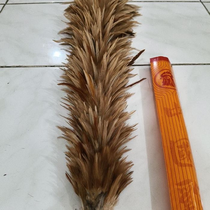 Kemoceng Bulu Ayam Jumbo Besar