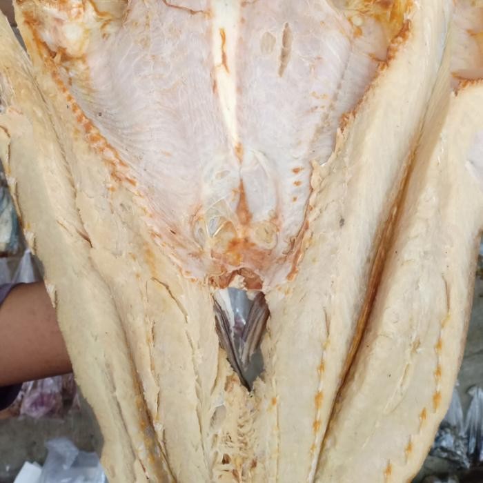 

Ikan Asin Jambal Roti Per 1000 Gr Best Quality Asli 100% Original