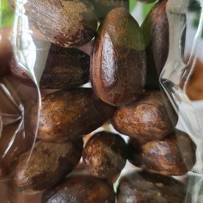 

TERMURAHH!! Biji Pala Lonjong 1kg Kualitas Bagus - Utuh Masih Ada Kulit