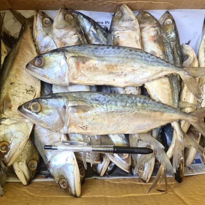 

TERMURAHH!! Ikan Asin Peda 250gr