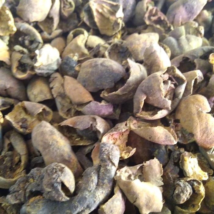 

TERMURAHH!! Herbal Jolawe 1kg - Jalawe - Joho