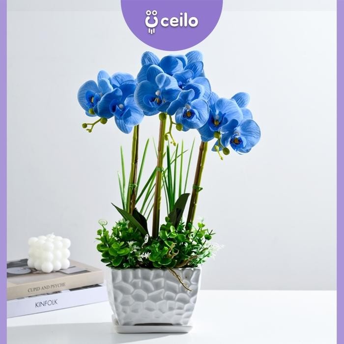 CEILO Bunga Anggrek Latex Imitasi Bunga Anggrek Latex Pot Keramik Real Touch Artificial Bunga