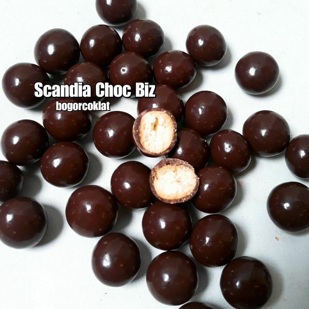 

Olivoliv Snack Coklat Scandia Choco Biz 500Gr