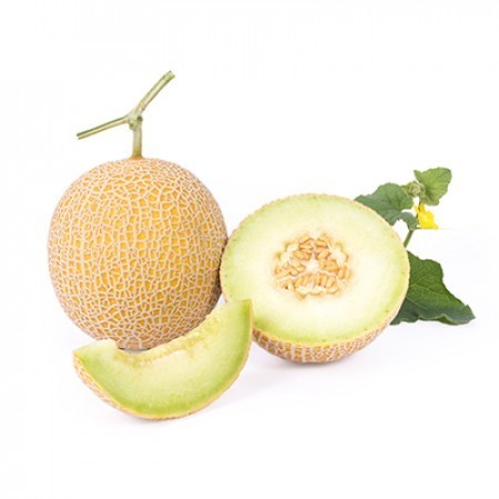 Flowersbloom Bibit Benih Melon Rz Inthanon Import Belanda Repack Isi 10Pcs - Inthanon