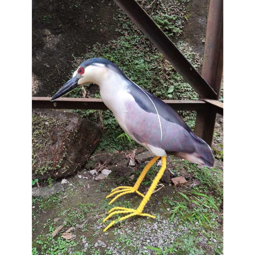 Jontort patung koak abu/koak maling/koak malam