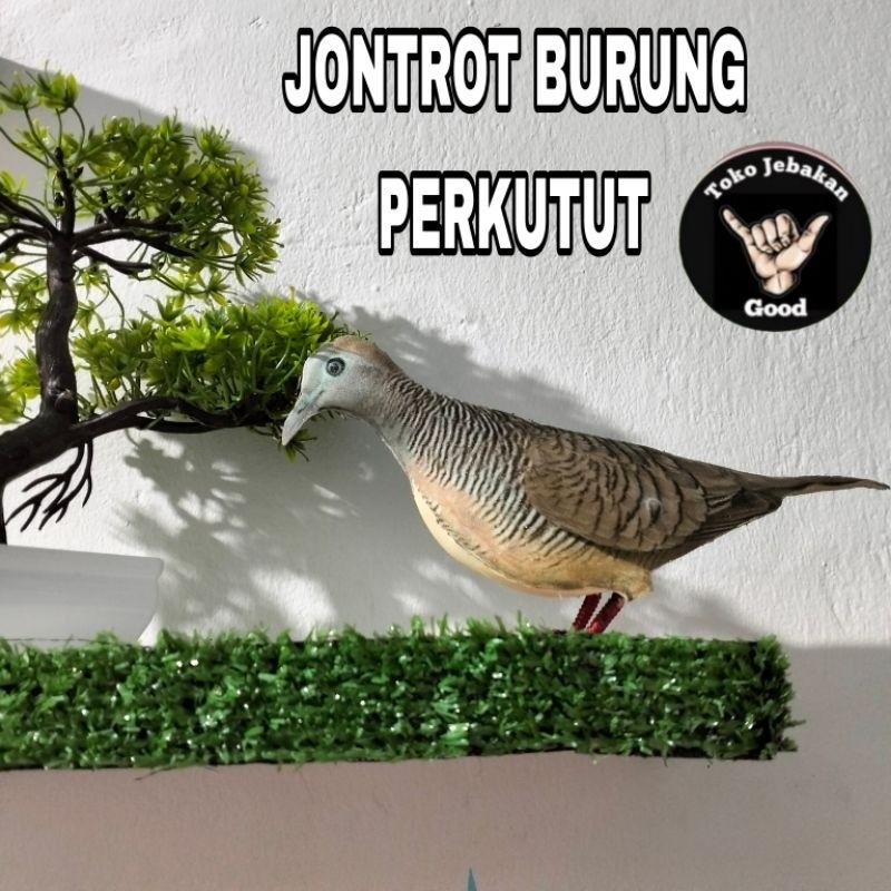 PATUNG JONTROT BURUNG PERKUTUT