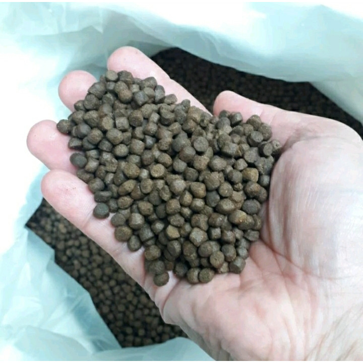 STP KAE JAPFA PAKAN MAKANAN PELET IKAN KOI KAKAP TAWAR 5 KG PREDATOR