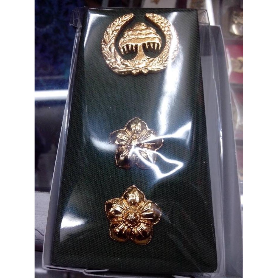 PREMIUM pangkat pns linmas+keki gol /3b