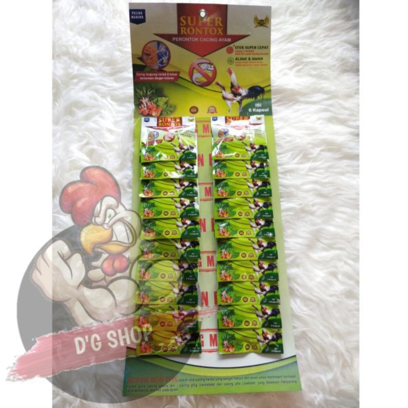 Wrmiaw - SUPER RONTOK RONTOX 1 RentengAyam Jago Aduan Bangkok Thailand