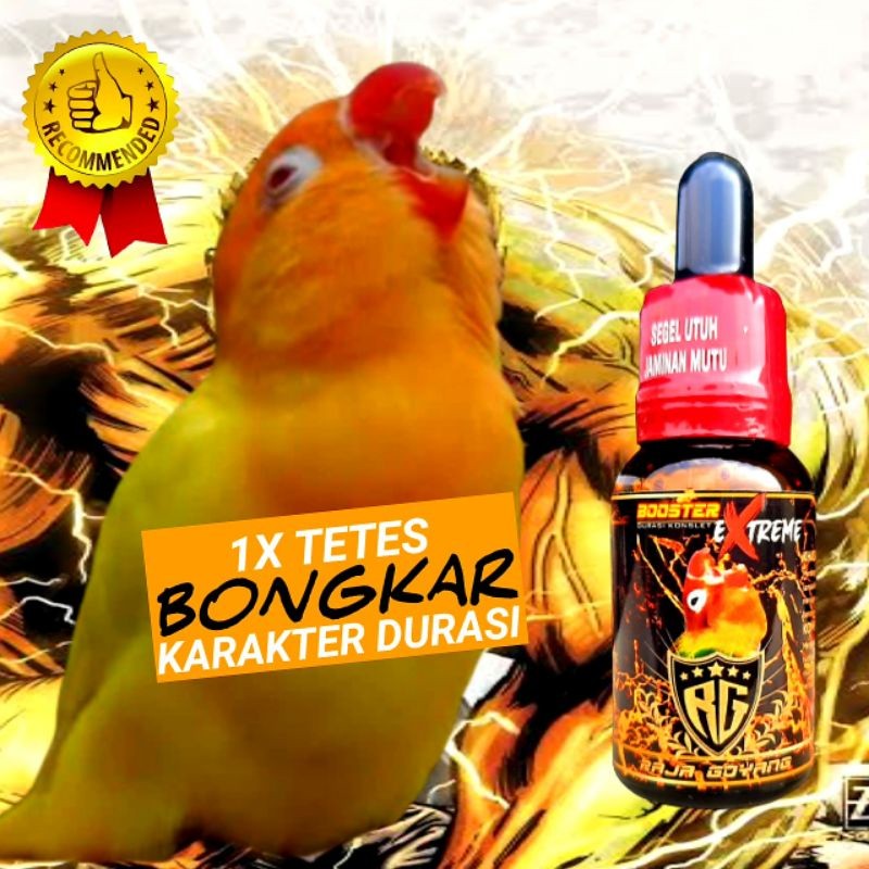 OIL BOOSTER EXTREME RG/ VITAMIN BURUNG LOVEBIRD TERBARU RAJAGOYANG/VITAMIN LOVEBIRD KONSLET/COD
