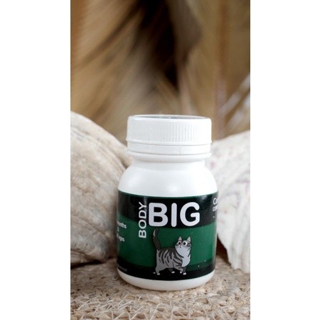 BODY BIG CAT / PENGGEMUK KUCING / VITAMIN BULU KUCING / CAT FATER POWDER / vitamin kucing / BIG BODY
