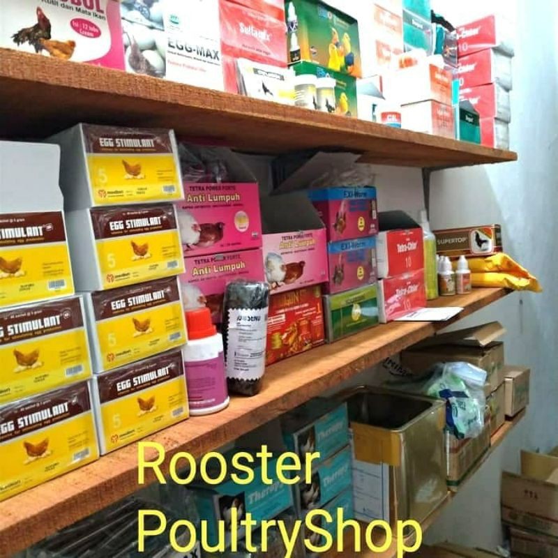 Vaksin Ayam Medivac ND IB untuk 1 ekor ayam Pencegahan Tetelo dan Infeksi Saluran Pernafasan