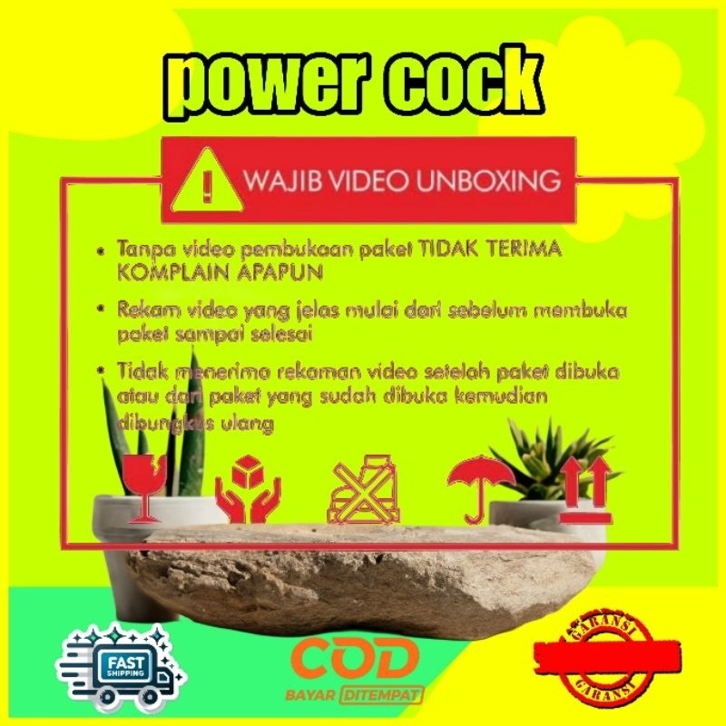 REPAIR PLUS KAMLANG AYAM SETELAH TARUNG AMSIONG TITAWAN BANGKOK IMPOR THAILAND