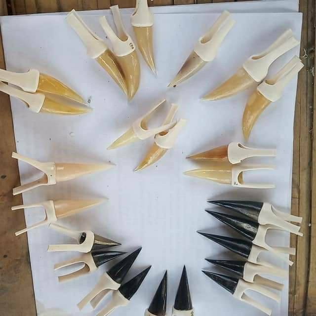 TAJI JALU AYAM JAGO UNTUK SAMBUNG DI KAKI AYAM ADUAN TARUNG - JALU SAMBUNG AYAM BANGKOK