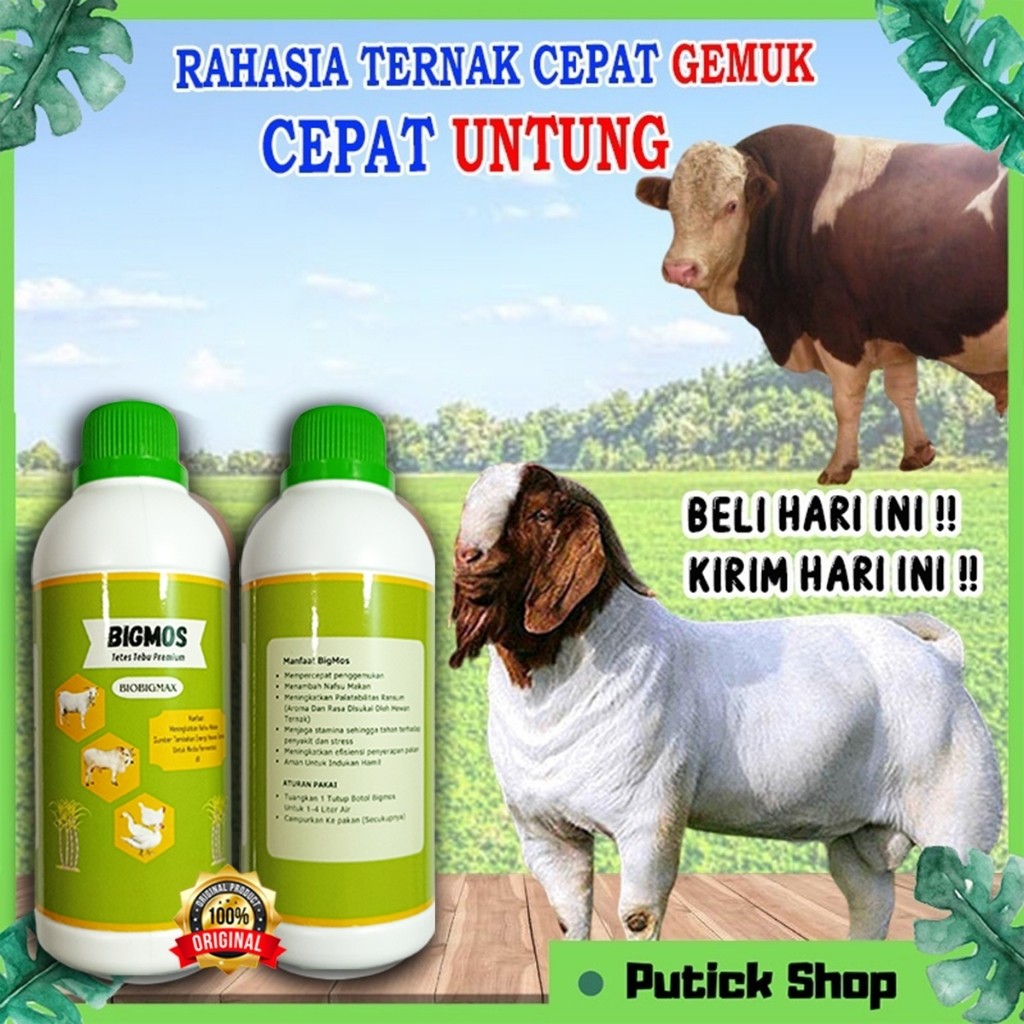 Vitamin Kambing Biar Gemuk BIGMOS ORIGINAL Obat Kambing Cepat Gemuk / Penggemuk Kambing, Penggemuk